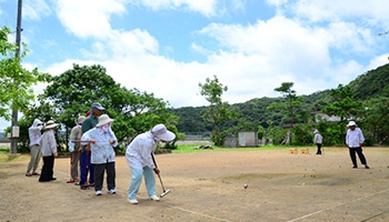 ゴガツゴンチのゲートボール