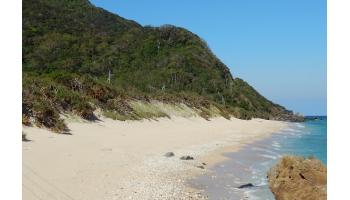 埋蔵文化財調査『請島・池地集落』