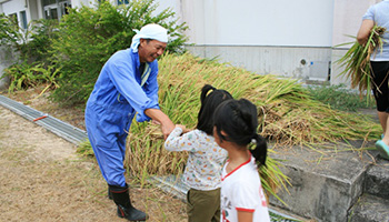 油井の田んぼ　最終章