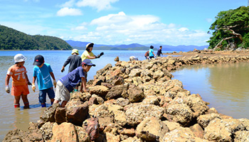 加計呂麻島 木慈の垣起こし