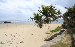 徳浜海岸