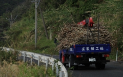 製糖工場