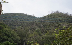 昔小名瀬へ行く通り道だった山