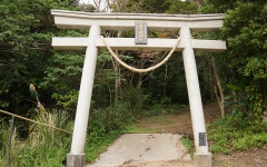 高千穂神社鳥居