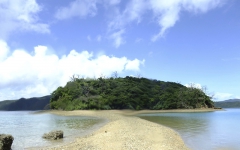 油井小島 潮の引いた風景