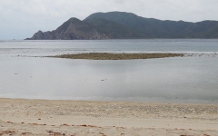 ヤドリ浜